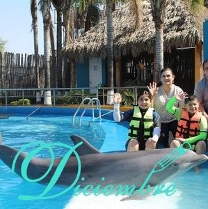 Meet your Posher, Rocio